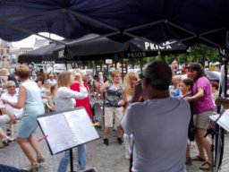 Optreden Lokeren